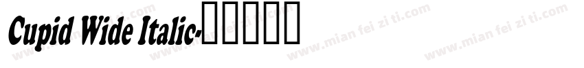 Cupid Wide Italic字体转换